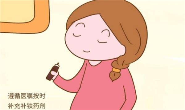 德国Salus Floradix铁元:孕期补铁的理想选择